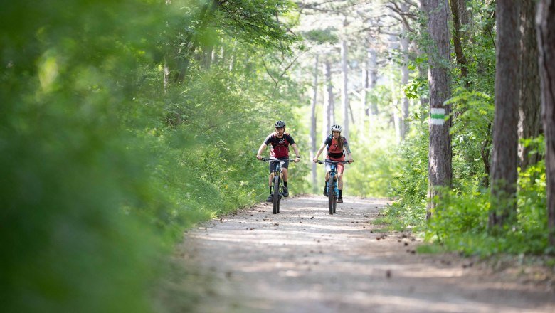mountainbike paradies anninger bei hotel und restaurant hoeldrichsmuehle