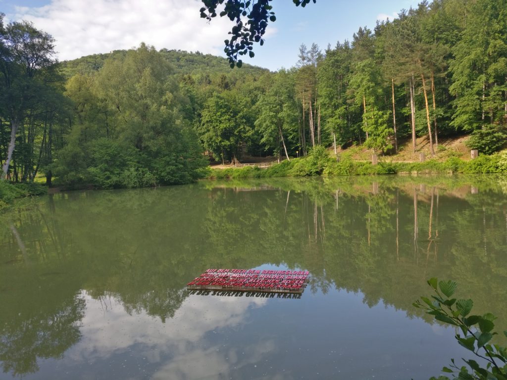 Naturpark Sparbach, Lenauteich (Fotorechte: Naturpark Sparbach, S. Käfer)