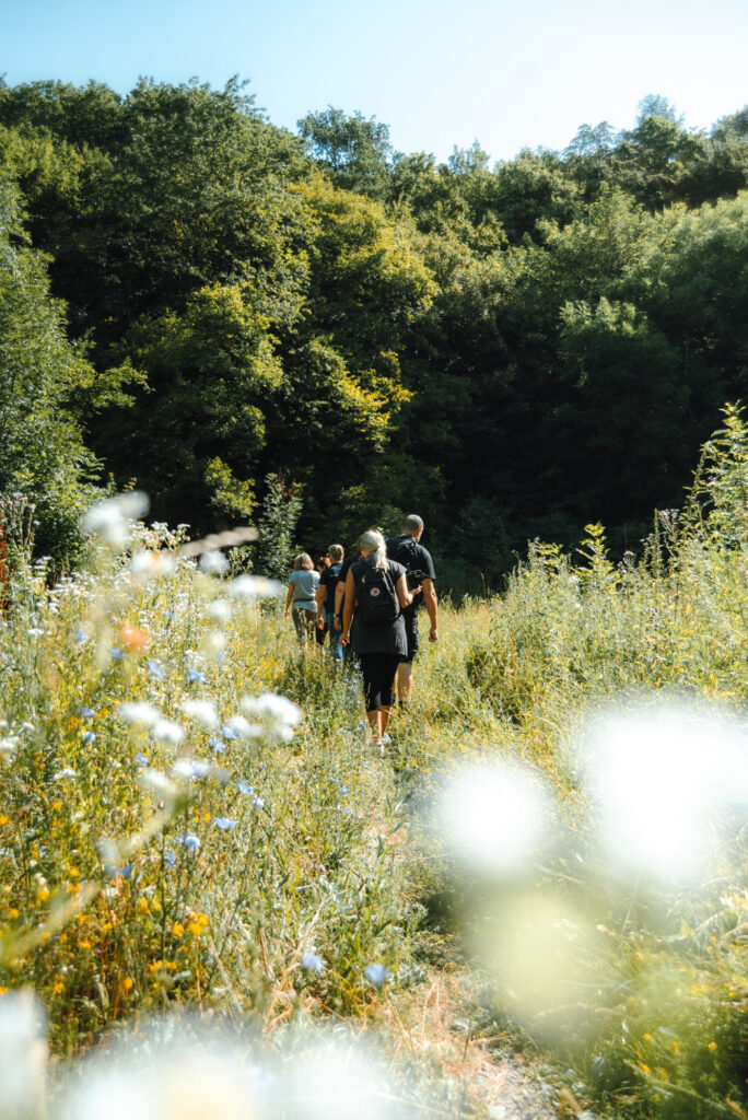 Erlebnis Wienerwald - die neue Wald-Auszeit unter fachkundiger Führung. Den Wald verkosten und Waldbaden erleben.